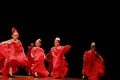 Flamenco Preballet